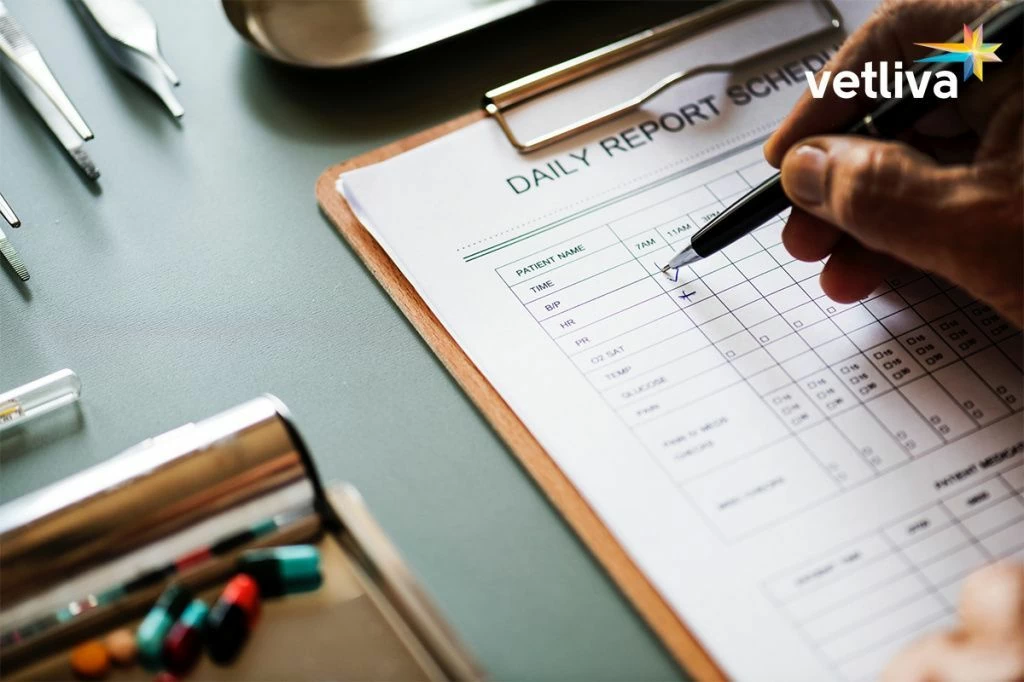 Где лучше лечить эндокринную систему? Где лучше лечить эндокринную систему в Беларуси?