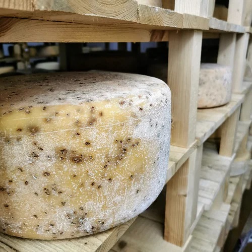 Сырная дегустация. Агрогородок Полочаны