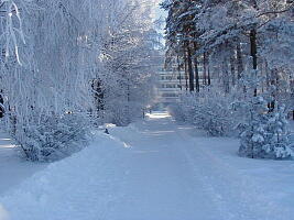 Ближе к природе - цены ниже, до 28.02.2023 в санаторий СОСНЫ!