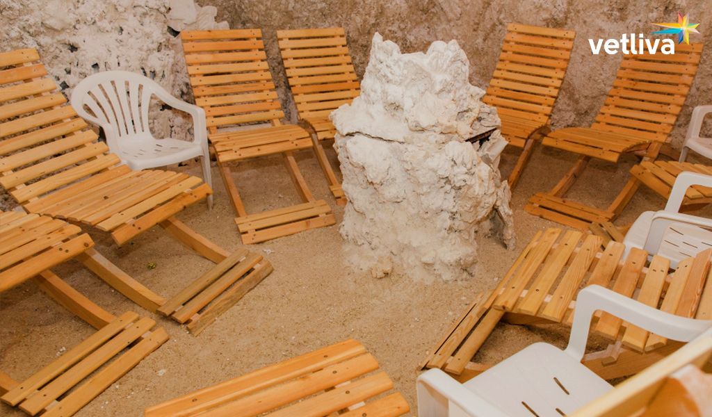 Профилактика болезней органов дыхания Профилактика болезней органов дыхания в санатории Пралеска