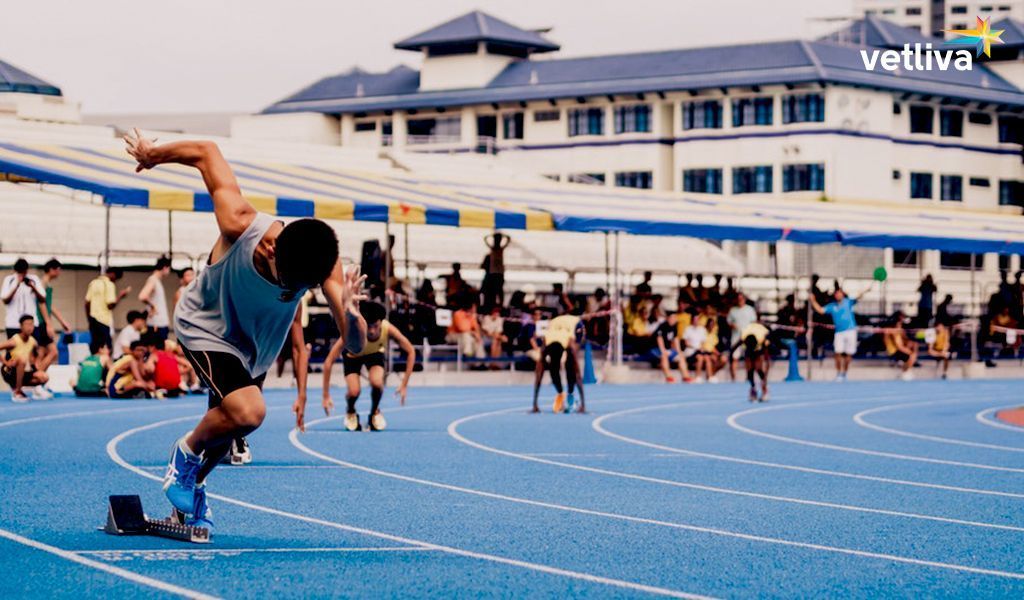 Европейские игры 2019 в Беларуси