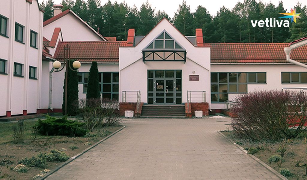 Санаторий Энергетик в Гродно Санатории Гродненской области