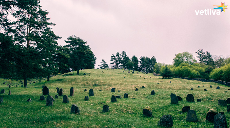 Еврейское кладбище в Белоруссии