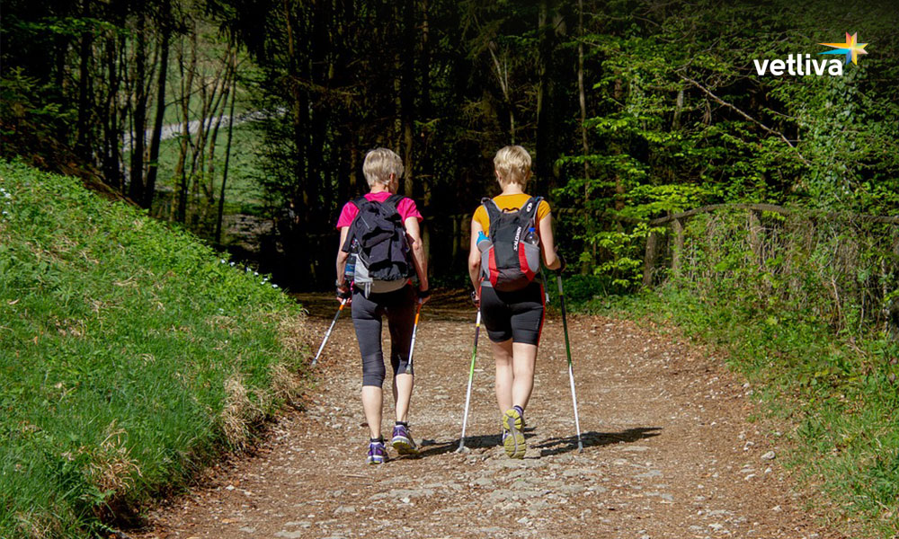 Скандинавская ходьба