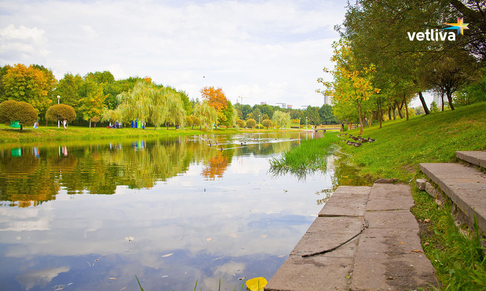 Парк павлова в минске фото