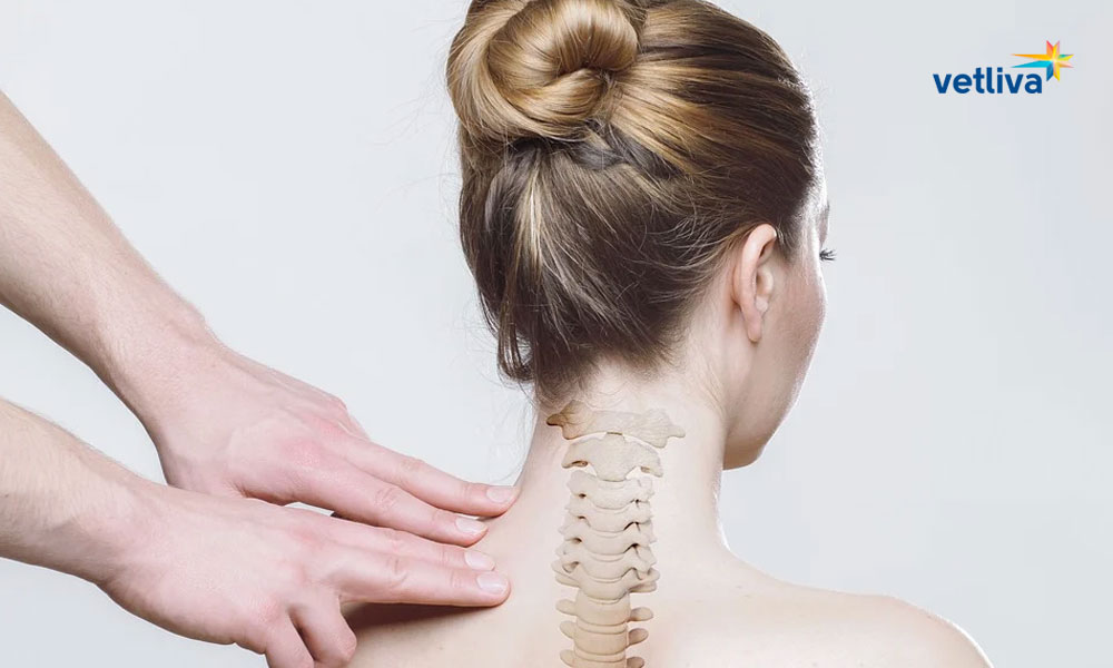 лечение позвоночника