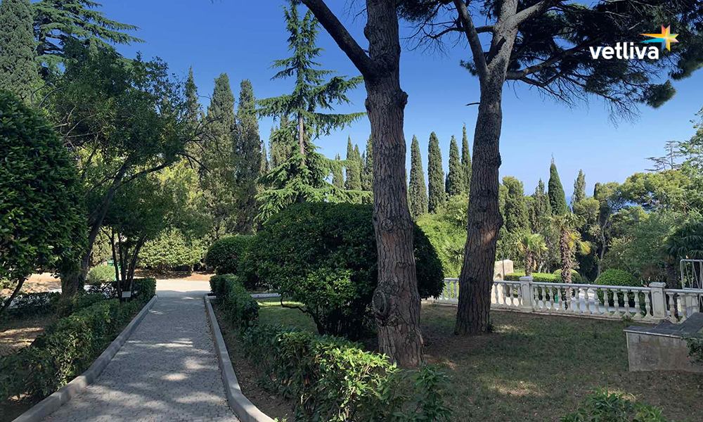 номерной фонд санатория Белоруссия