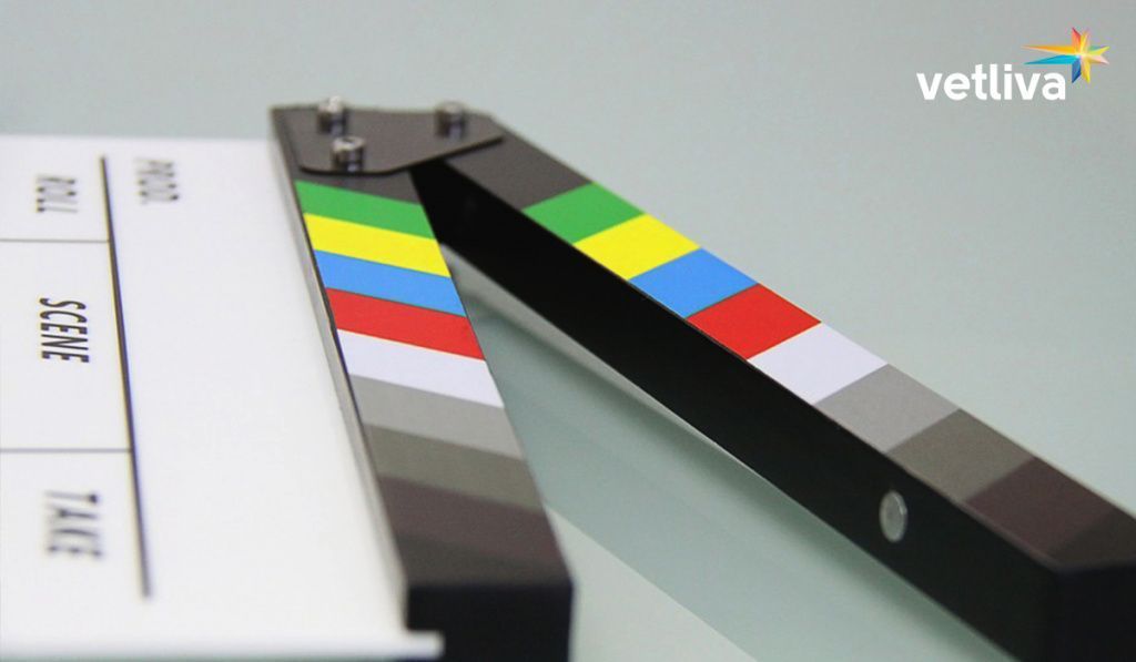 Кассовые фильмы, снятые в Минске Кассовые фильмы, снятые в Беларуси