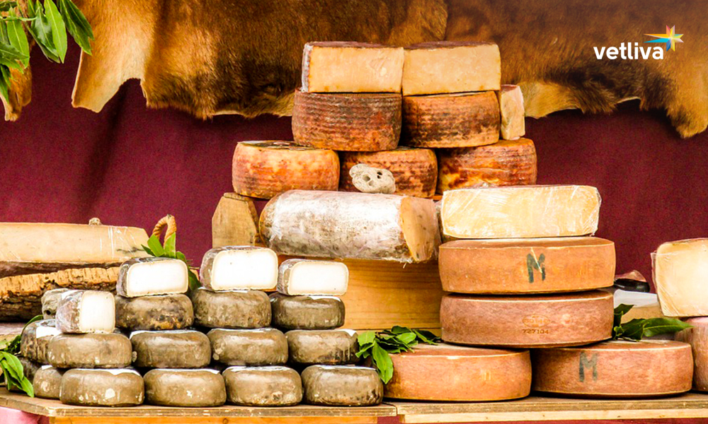 Гаспадарчы сыр Головки разного вида сыра