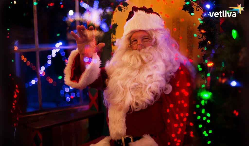 Санта Санта Клаус