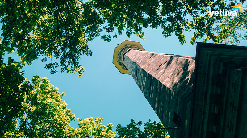 Башня обозрения в Гомеле Башня обозрения в Гоельском парке