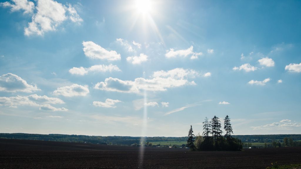 дорога к фальварку тызенгауза