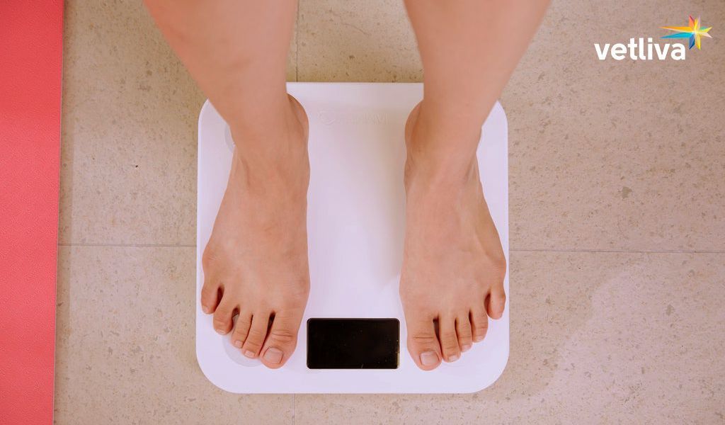 Как избавиться от лишнего веса в санатории Белоруссии