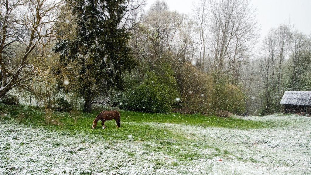 Где побывать в Беларуси