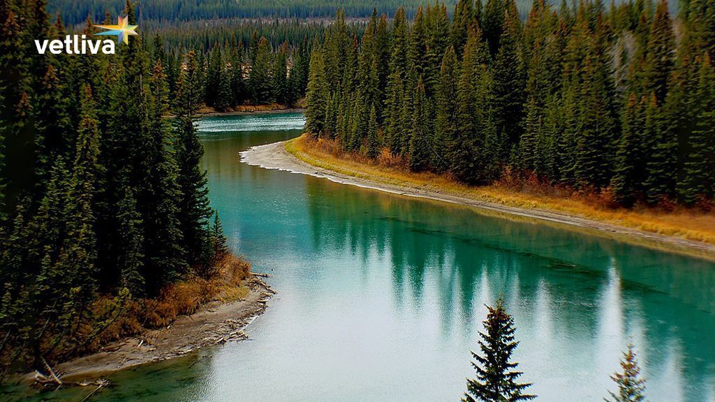 Гайд по проживанию в национальных парках Белоруссии