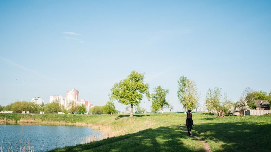 Конно-спортивная школа Гомель Конно-спортивная школа Гомель