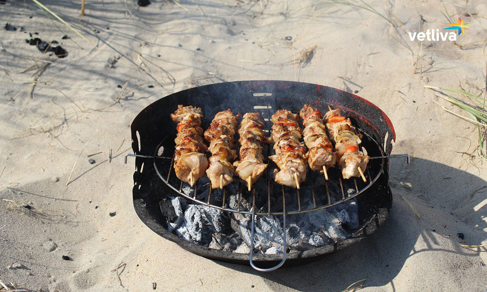 Сочные шашлыки на водохранилище Дрозды