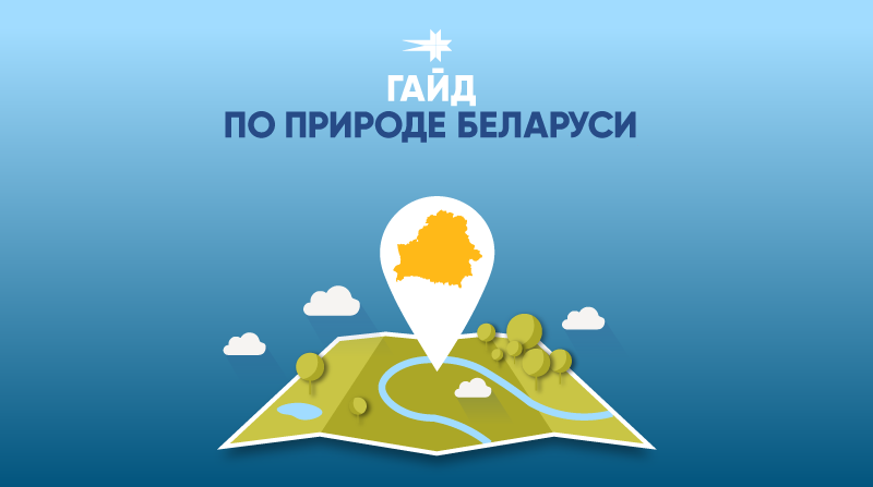 Все статьи о природе Белоруссии