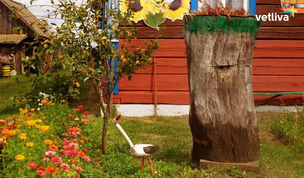 Усадьба «В гостях у пчёлки. Медовый рай»