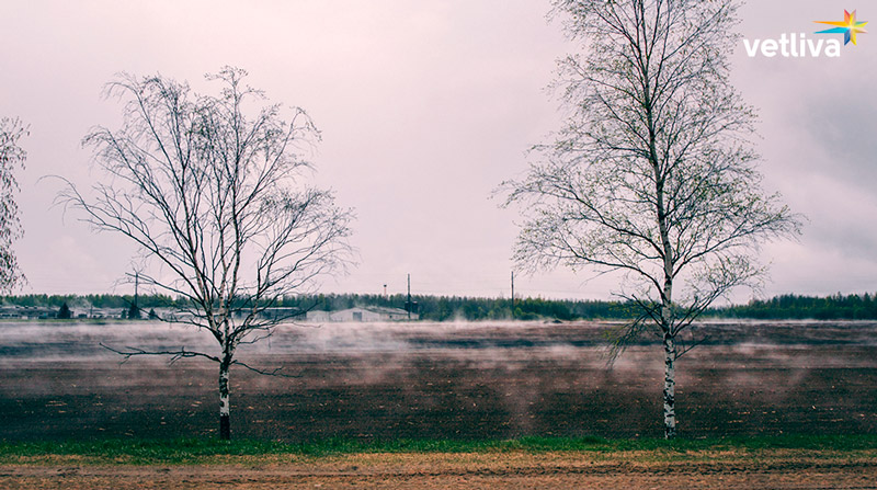 Белорусская природа