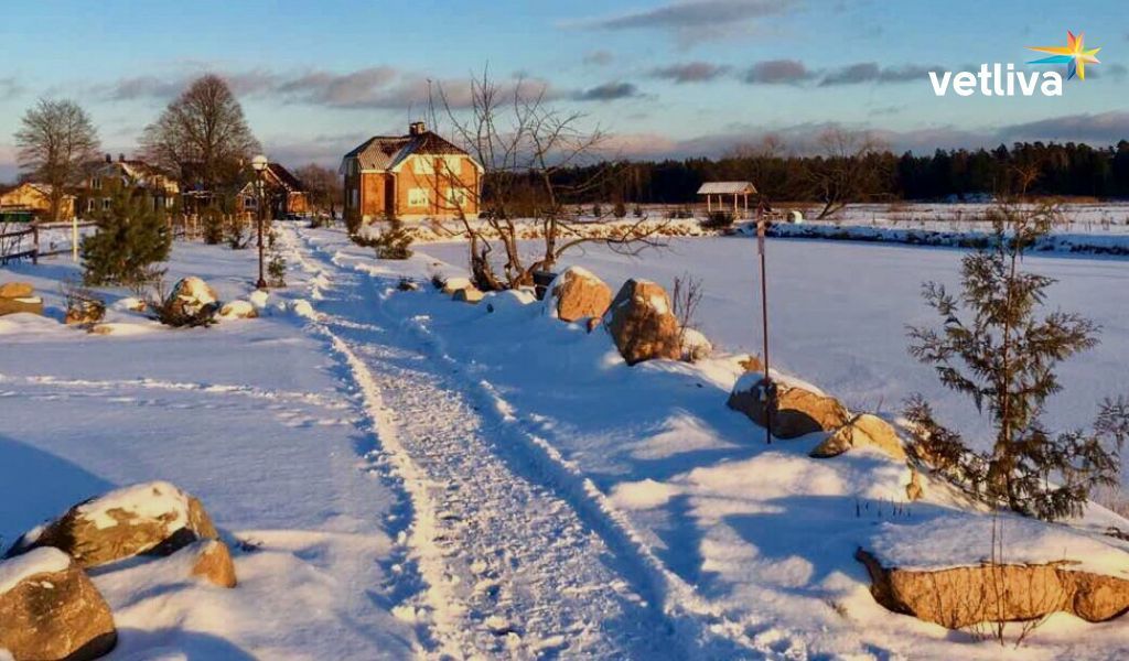 Экоотель Кветки Яблыни в Беларуси