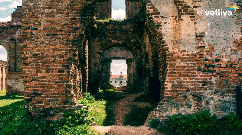 Руины Ружанского дворца Руины Ружанского дворца в Белоруссии