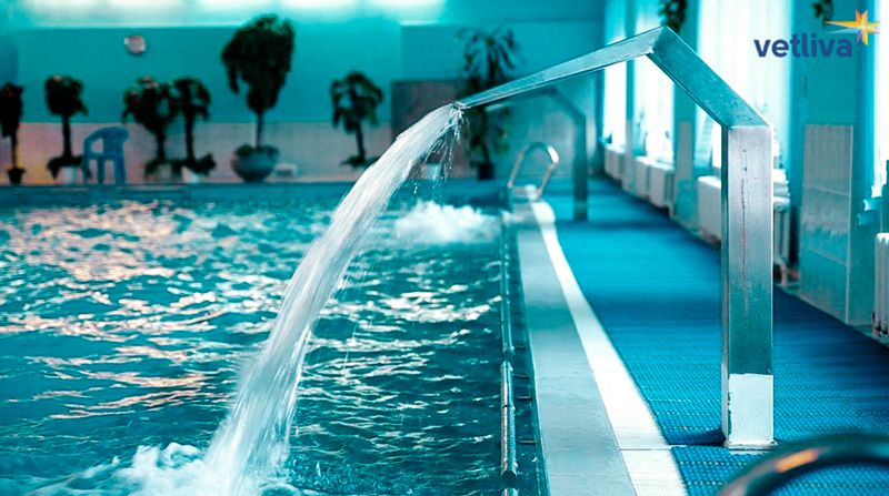 Лечение в санатории Боровое в Белоруссии