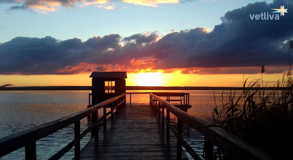 Отдых в национальных парках Белоруссии: Березинский заповедник