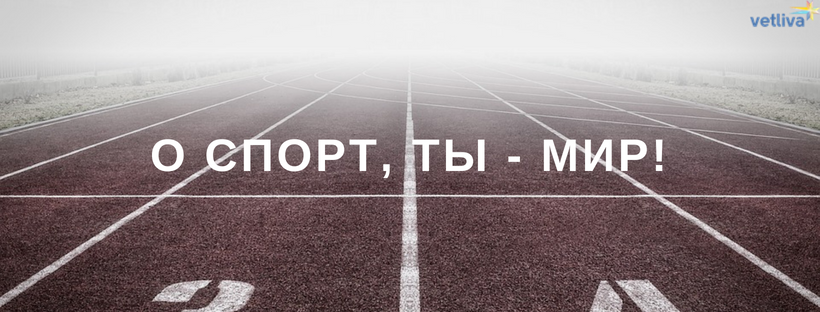 Олимпийское движение Беларуси! Спортивные резервы Беларуси Спорт молодеет. Юных спортсменов необходимо готовить не только к высоким спортивным достижениям, – презентация