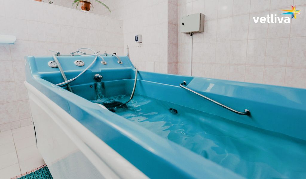 Санаторий Радуга в Беларуси Санаторий Радуга в Белоруссии