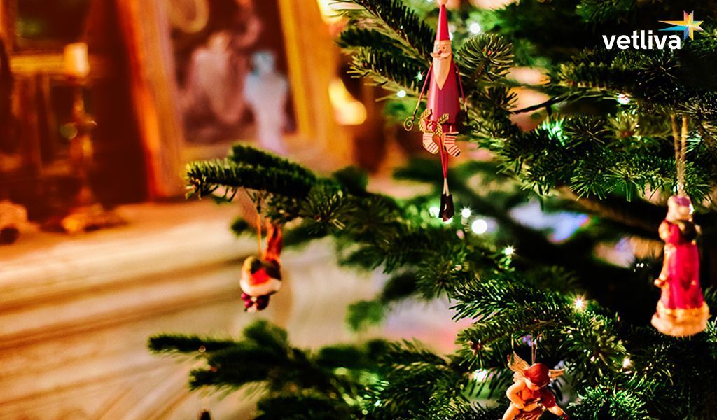 Новогодние герои Новый год в Беларуси