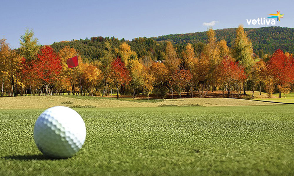 Релакс на поле для гольфа