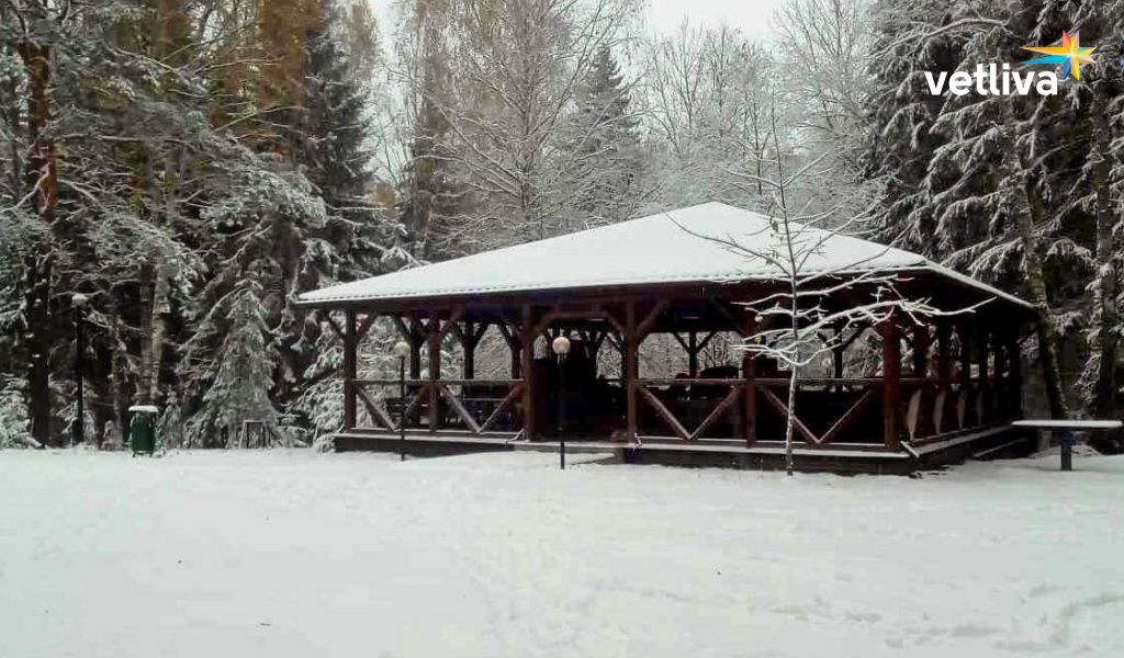 База отдыха Девино в Беларуси