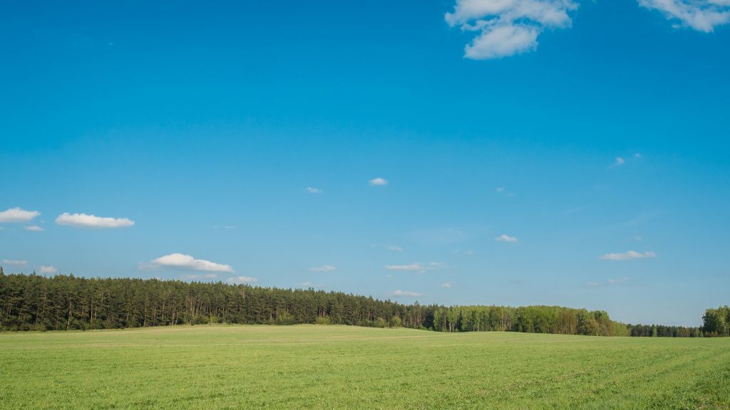 красивые поля