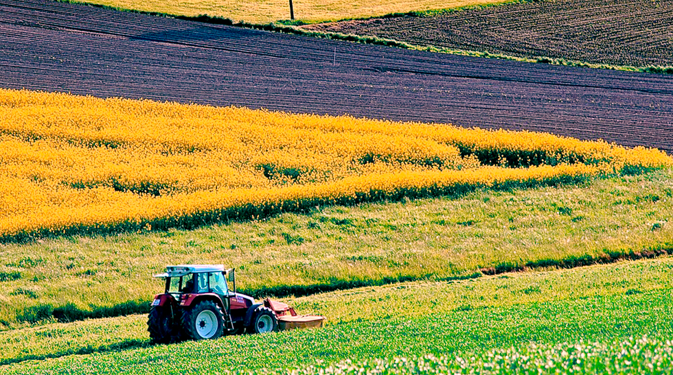 Белорусский колесный трактор