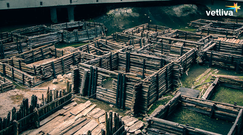 Историко-археологический музей «Берестье» Историко-археологический музей «Берестье» в Белоруссии