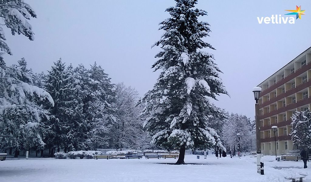 Санаторий Сосны в Могилеве Санаторий Сосны в Могилеве для лечения дыхания