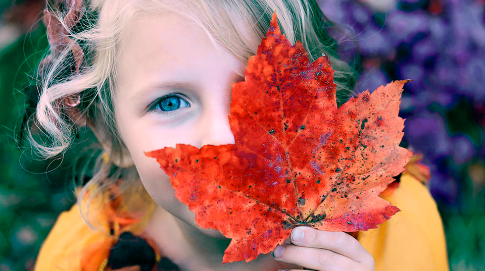 В тур по золотой Беларуси