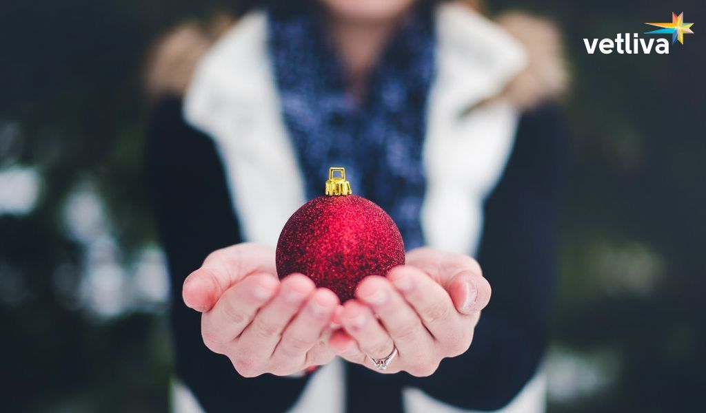 Новогодние предложения от VETLIVA Новый год в санаториях Беларуси