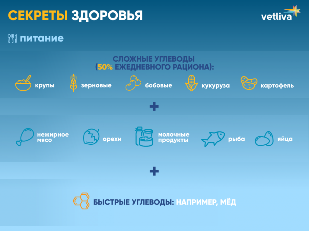 Секреты правильного питания Секреты здорового питания