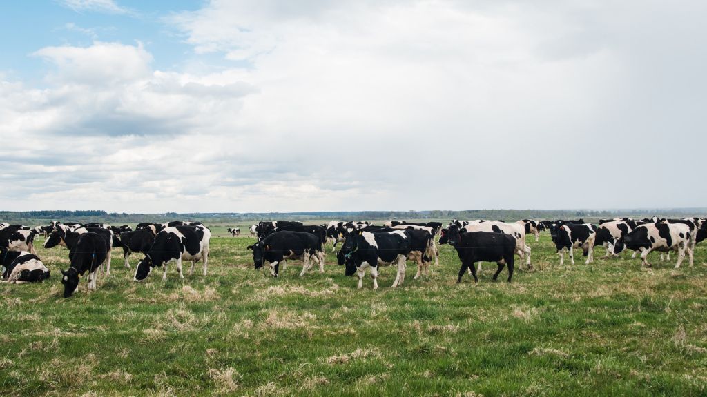 Путешествие по городам Беларуси