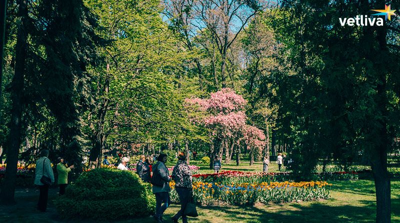 Гомельский парк Гомельский парк в Белоруссии