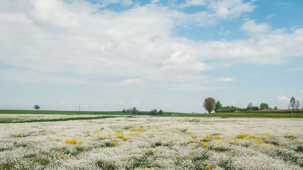 Красивые места Беларуси