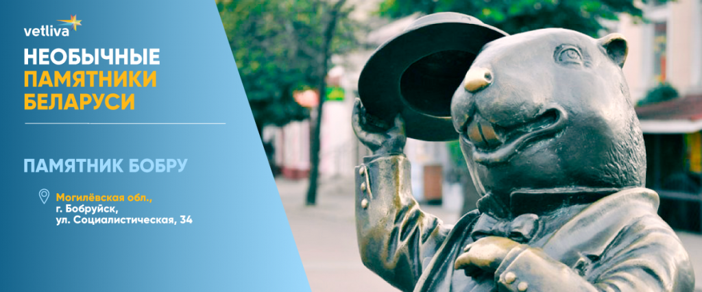 Памятник бобру в Бобруйске