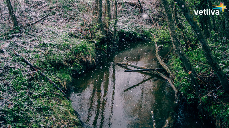 «Водопады» в Белоруссии