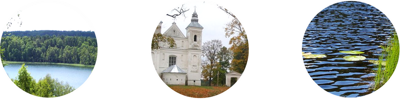 Ожерелье Нарочанского края.png