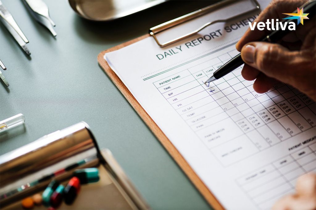 Где лучше лечить эндокринную систему в Беларуси?