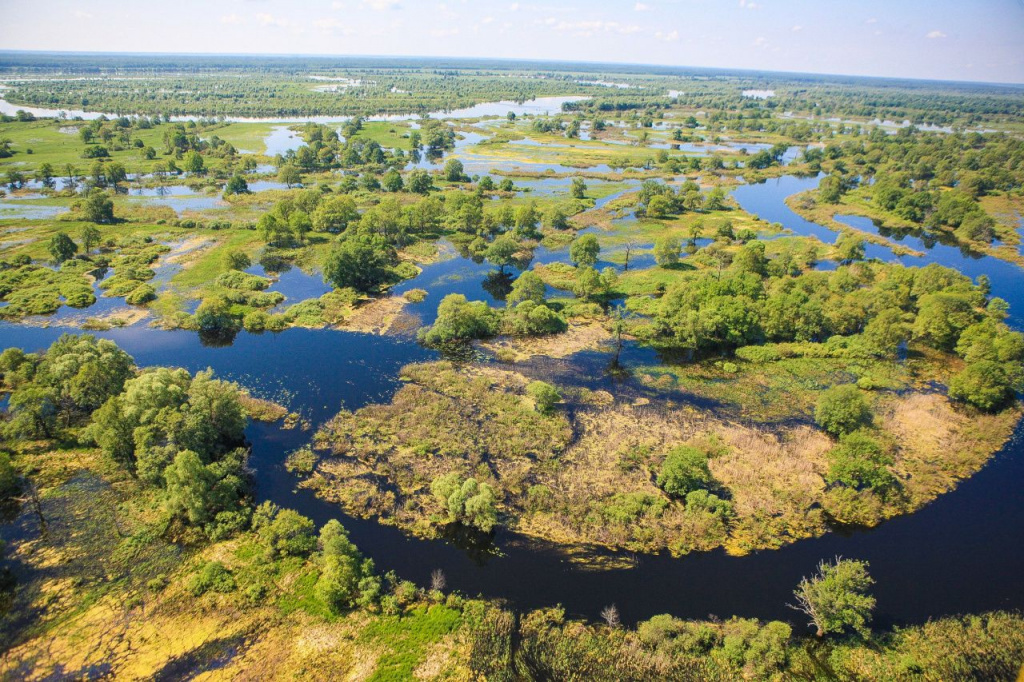 Припятский национальный парк фото