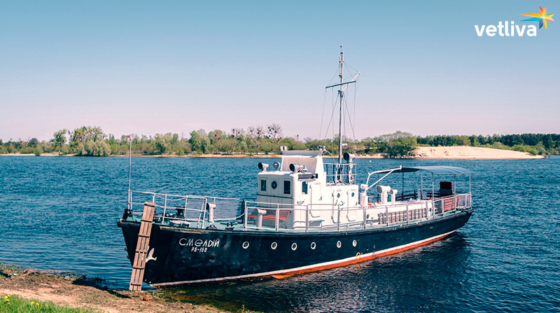 Река Припять в Мозыре Река Припять в Белоруссии