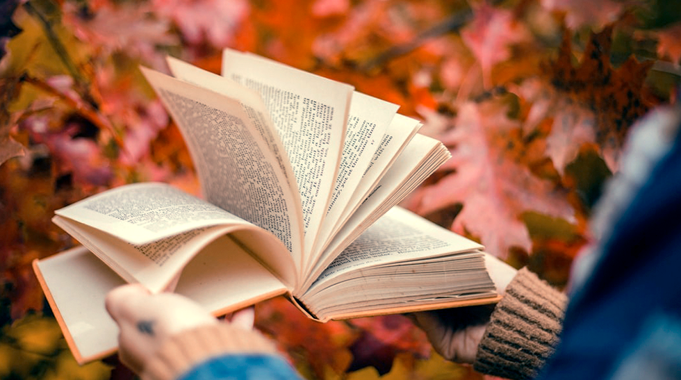 Чтение книг